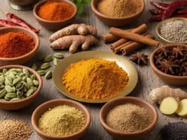 Metabolism, Blood Purification THESE