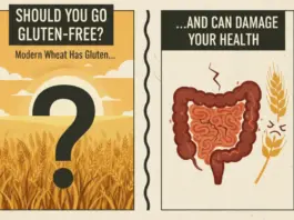 Modern Wheat Has Gluten