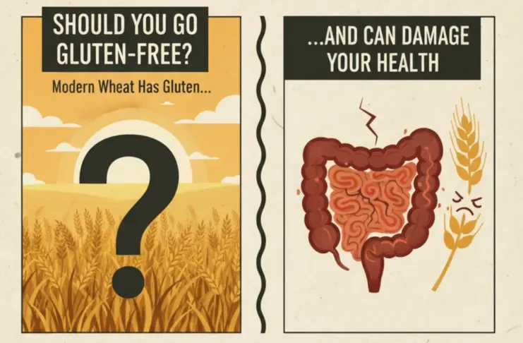 Modern Wheat Has Gluten