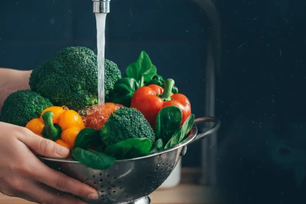 Neurocysticercosis Brain worm Disease Due To Unwashed Vegetables Neurocysticercosis Brain worm Disease Due To Unwashed Vegetables