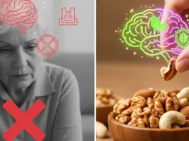 Nuts Can Reduce Dementia Risk, Brain Health