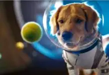 OpenAI’s Sora 2 Takes On TikTok And YouTube, Check Its ‘Exceptionally Different’ Abilities That Are Game-Changing Open AI Sora 2