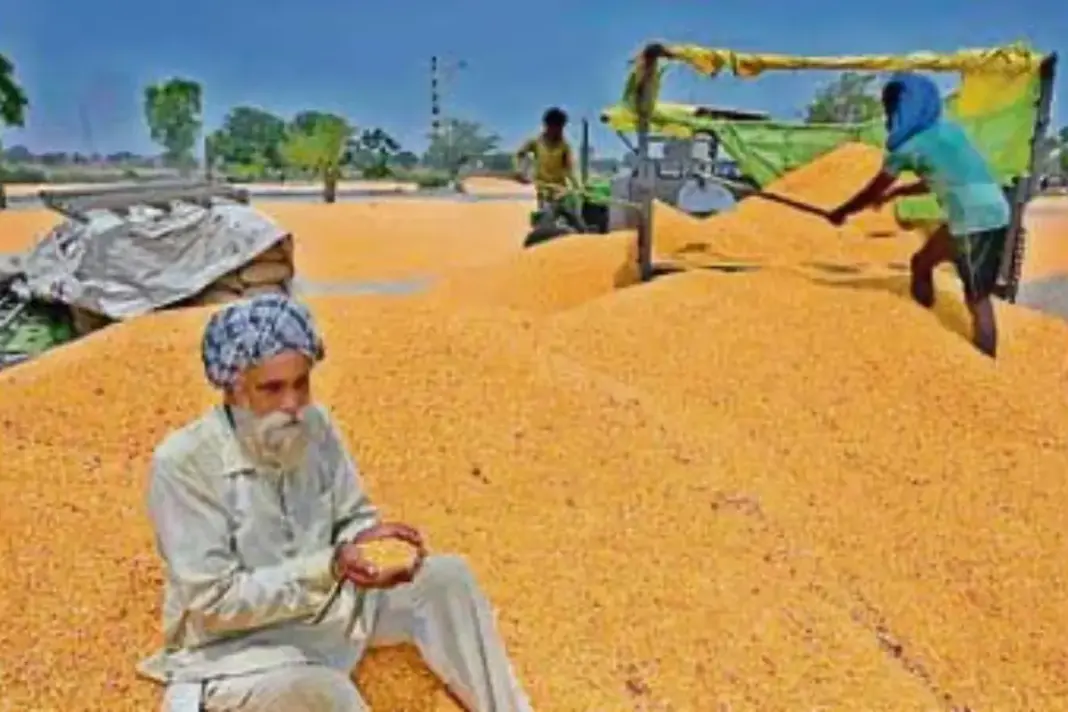 Punjab News