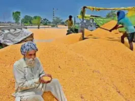 Punjab News