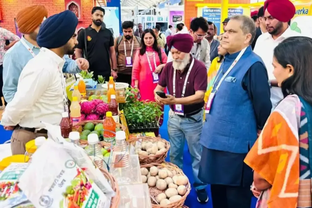 Punjab News