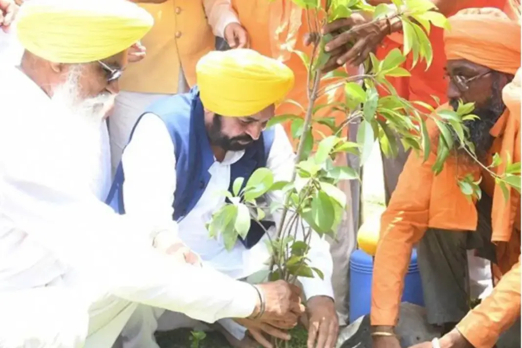 Punjab News Punjab News