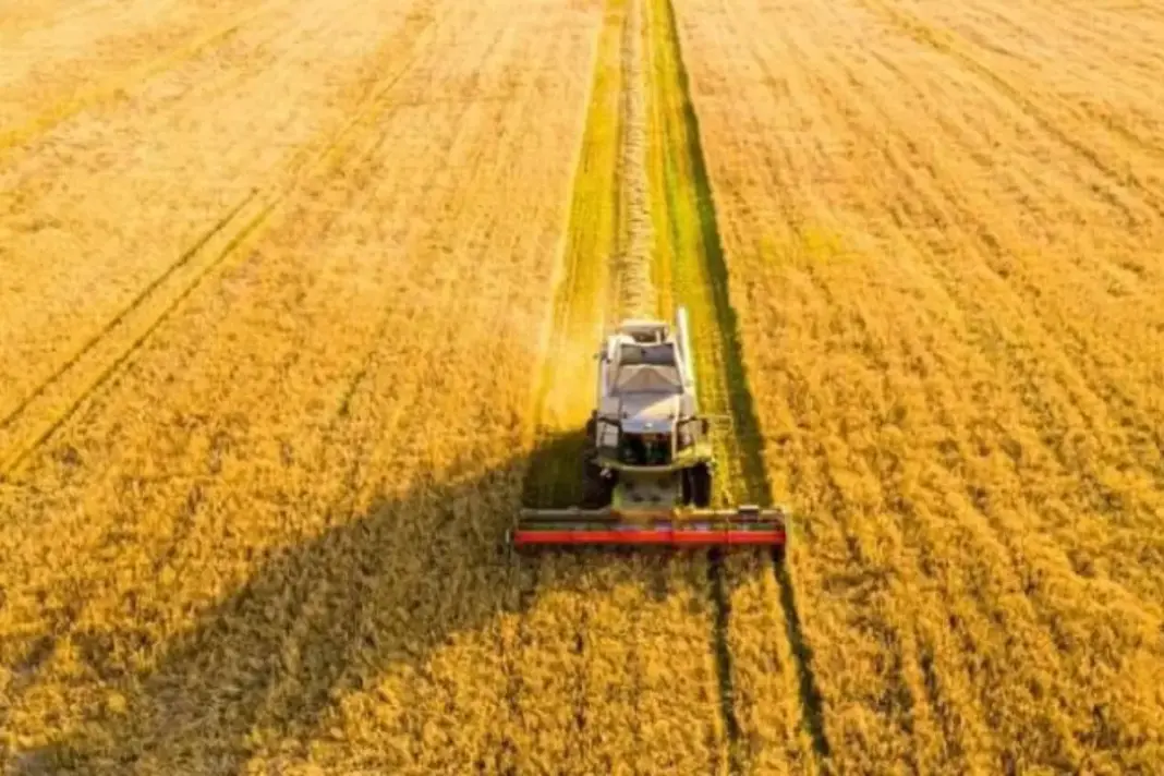 Stubble burning