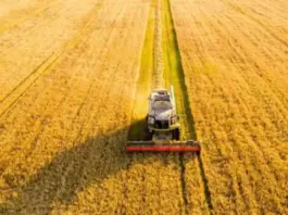 Stubble burning