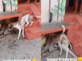 Viral Video