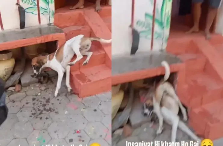 Viral Video