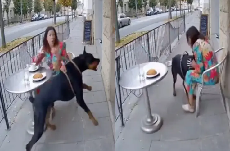 Viral Video