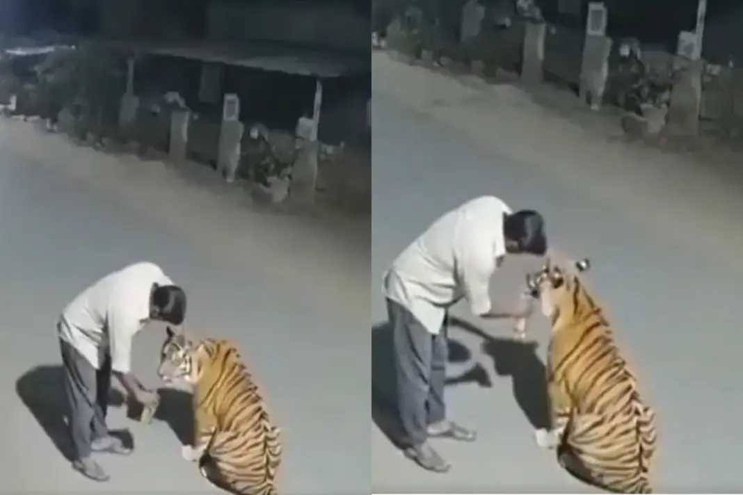 Viral Video (27) Viral Video