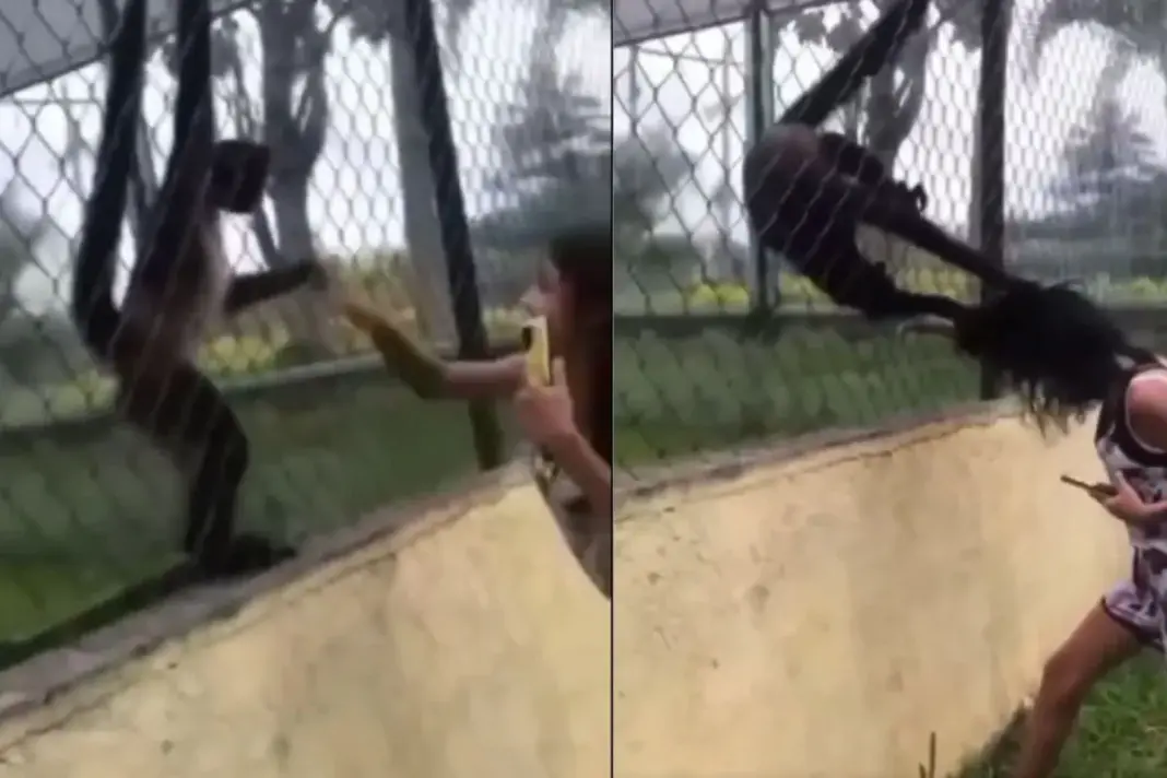 Viral Video