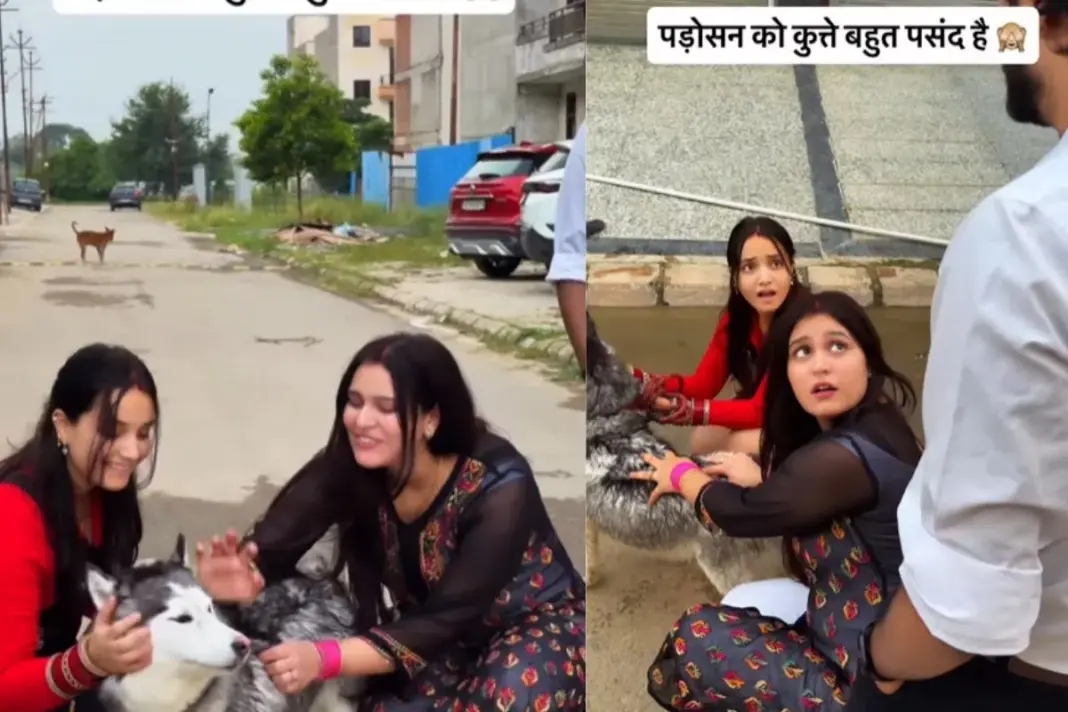Viral Video
