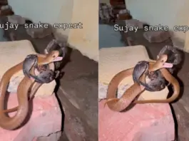 Viral Video