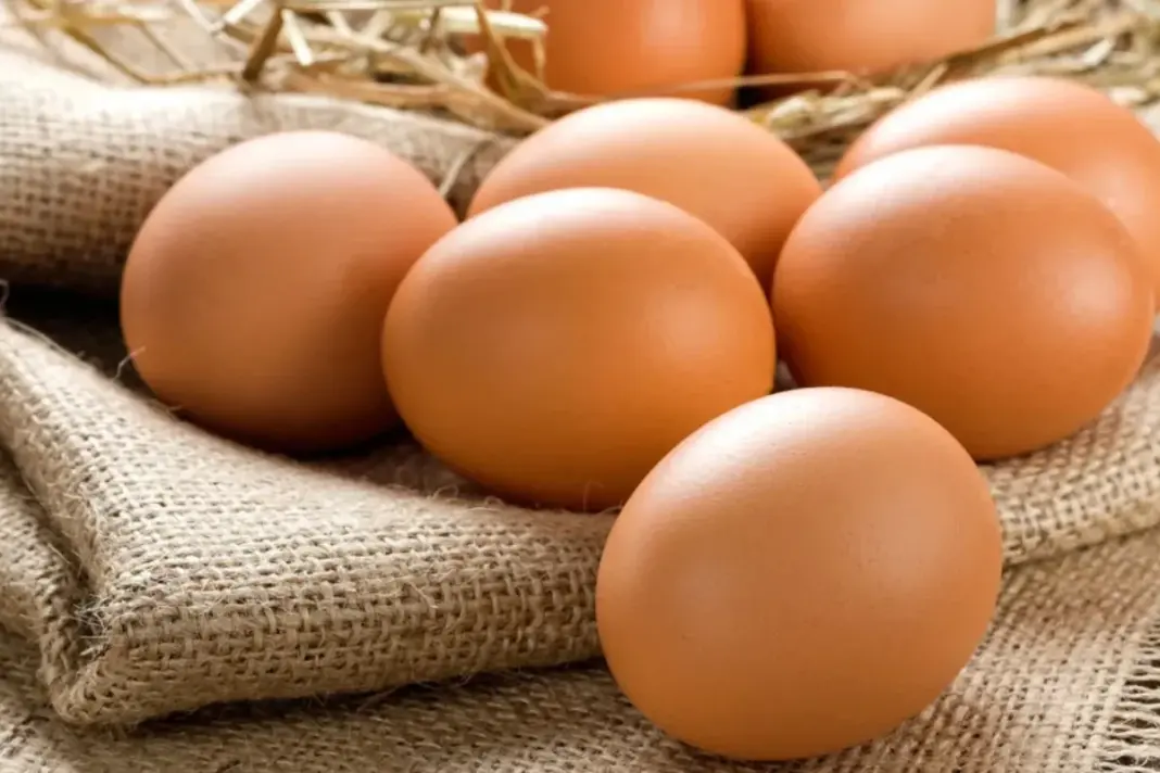 eggs eggs