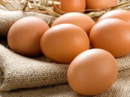 eggs