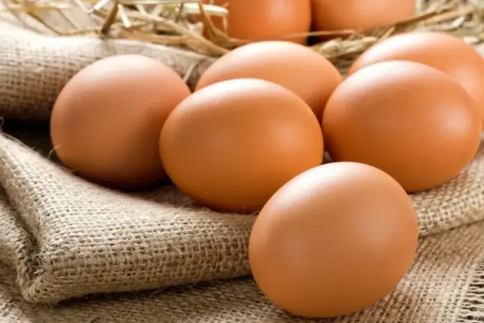 eggs eggs