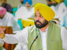 punjab-news