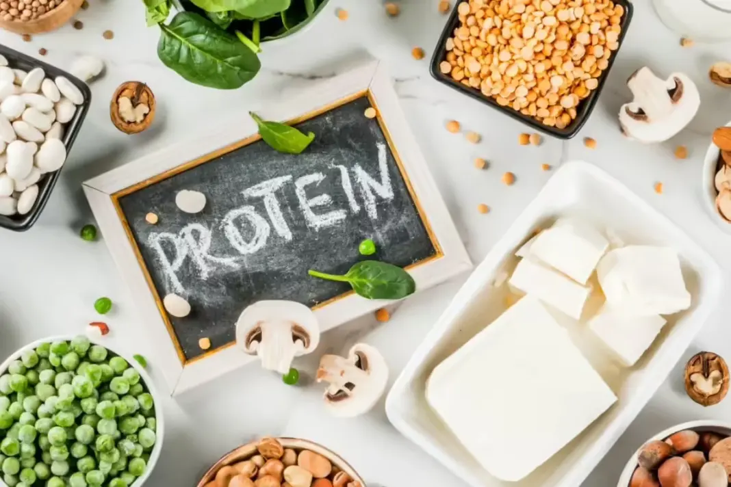 vegetarian diet vegetarian protein sources