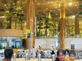 Bengaluru Airport Viral Video