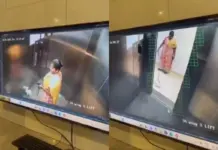 Bengaluru Viral Video: Humanity Disgraced! Heartless Woman Enters Lift With Puppy, Kills It On Purpose Inside, Then Walks Out Coolly Bengaluru Viral Video