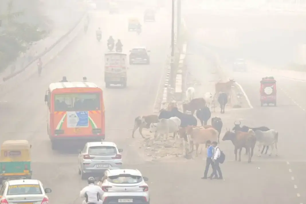 Delhi-Pollution