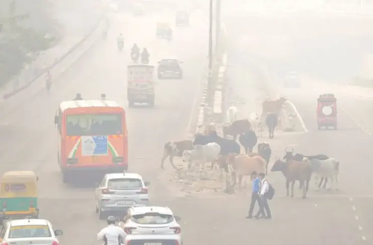 Delhi-Pollution