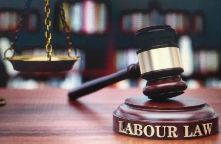 New- labour- law