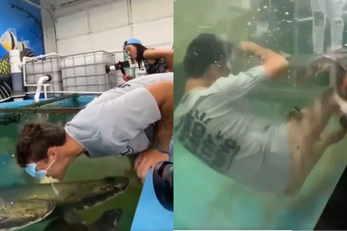 Viral Video (1) Viral Video