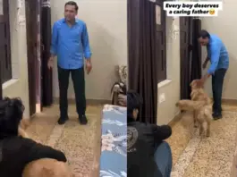 Viral Video: ‘Beta…’ Father Addresses Son and Dog In The Same Breath, Check Who Responds And Why? Viral Video
