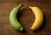 Slightly Green Banana Vs Yellow Banana: What Should You Have and Why? green banana vs yellow banana