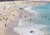 Bondi Beach Shooting: BIG Breaking ! Bizarre Shooting in Sydney, Many Injured, People Run For Life BREAKING NEWS