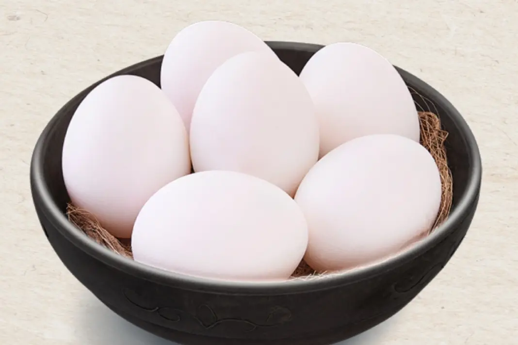 Blind Egg Test Of Top Brands