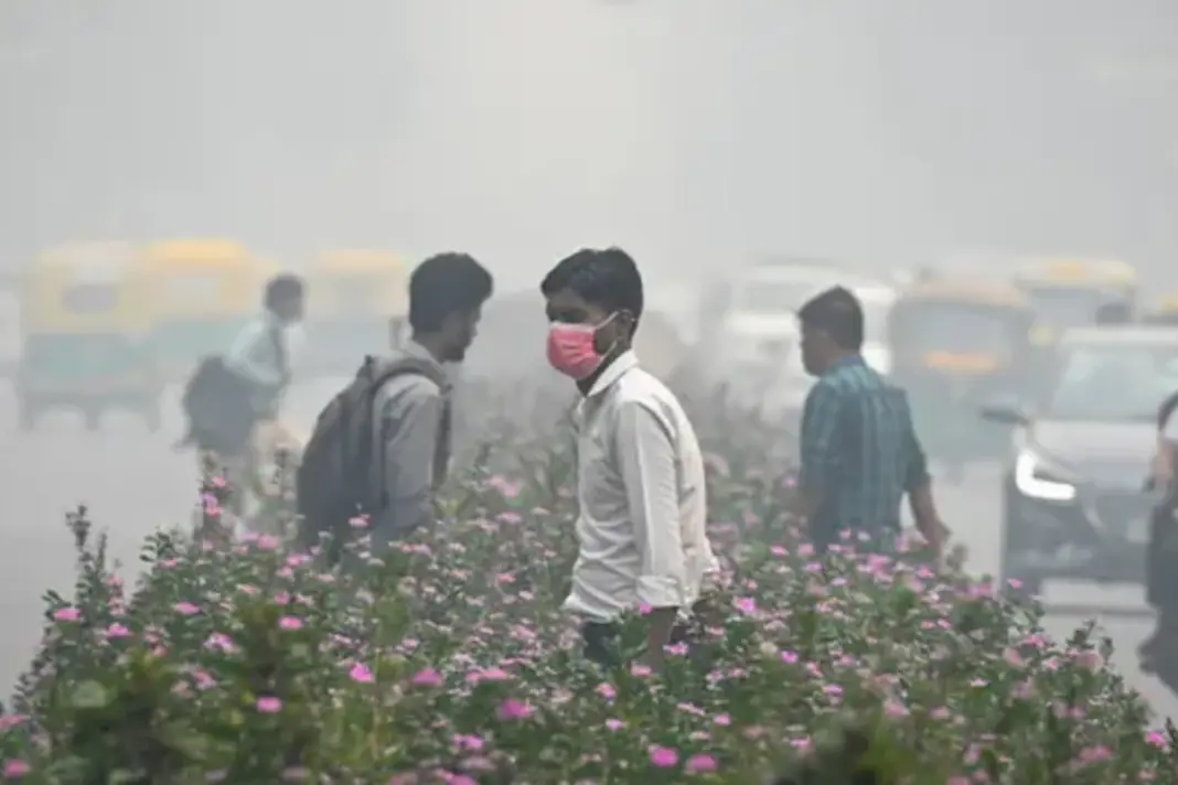 Delhi Pollution