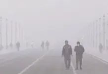 Delhi Pollution: Up To 12 Years Of Life Expectancy At Stake? The Real Cost Of Breathing Polluted Air Calculated, Check Delhi Pollution