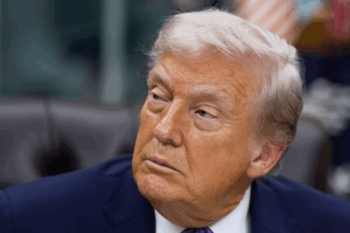 Donald Trump Donald Trump