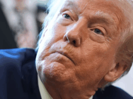 Epstein-Files-Donald-Trump