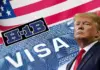 H1 B Visa Alert ! Donald Trump Administration Orders Stricter Vetting, Check How It Can Impact Indians H1-B Visa