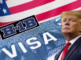 H1-B Visa