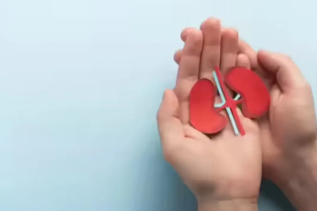 Kidney Transplant Myths