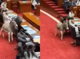 Pakistan Viral Video