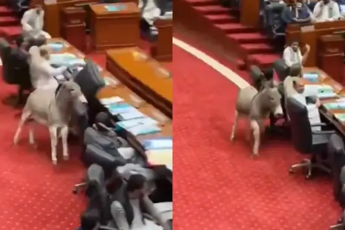 Pakistan Viral Video Pakistan Viral Video