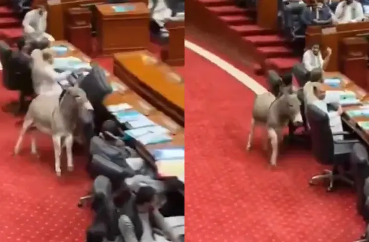 Pakistan Viral Video