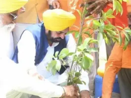 Mann Government’s Greening Punjab Mission: 12.57 Lakh Trees Planted, State Achieves Biggest Environmental Milestone Punjab news
