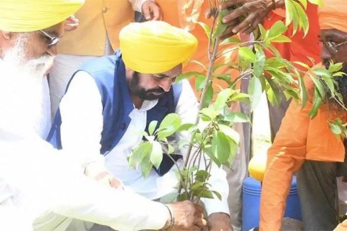 Punjab news Punjab news