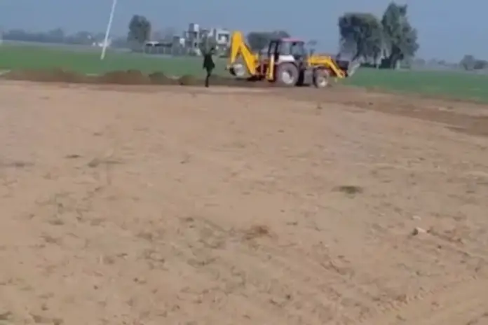 Punjab news Punjab news