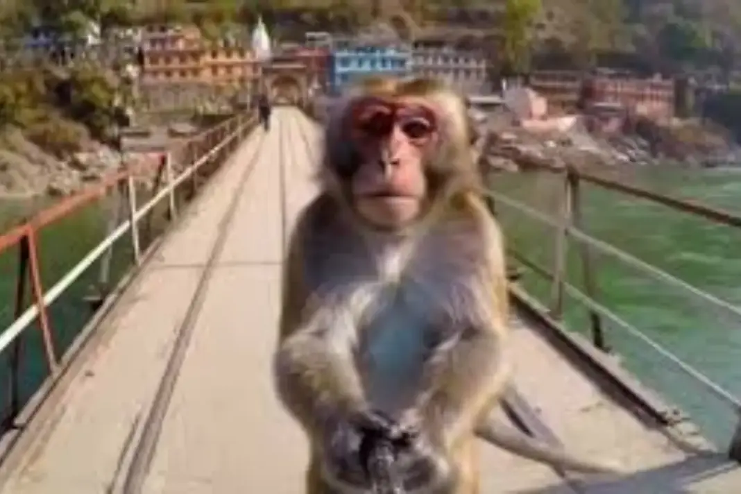 Rishikesh Viral Video