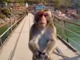 Rishikesh Viral Video