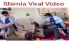 Shimla IGMC Hospital Brawl Video Goes Viral, Probe Ordered After Doctor-Patient Clash